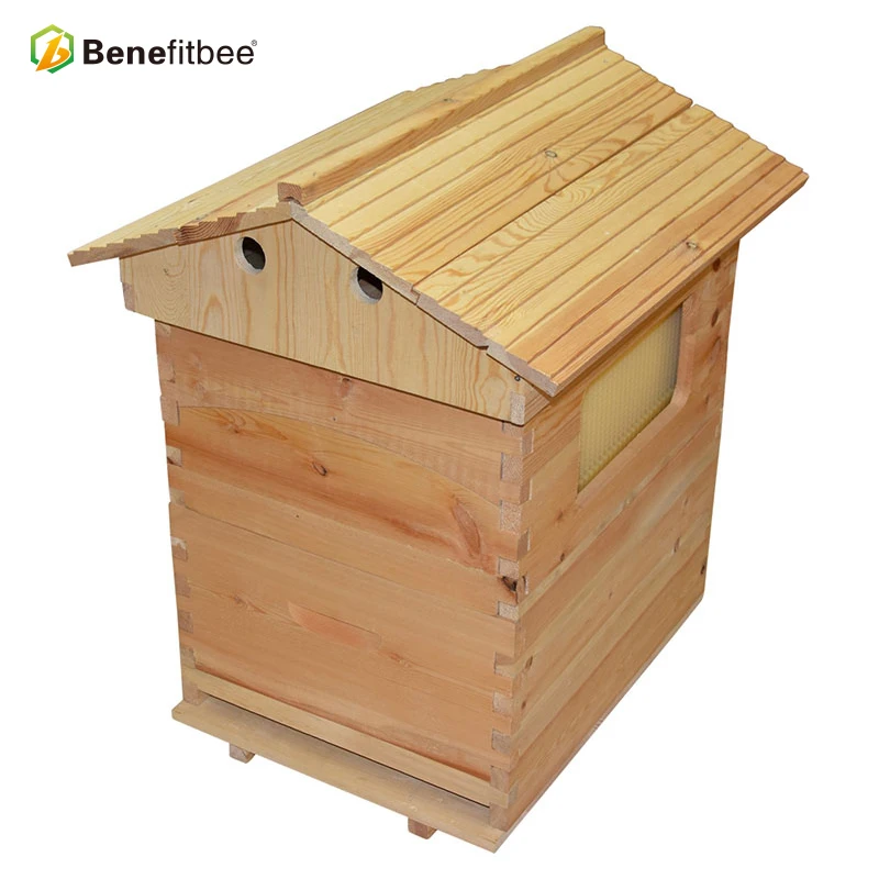 

Benefitbee Auto Honey Flow Hive Beekeeping Tool Wooden Beehive Langstroth Bee Hive Honey Flow Hive For Beekeeping Equipment
