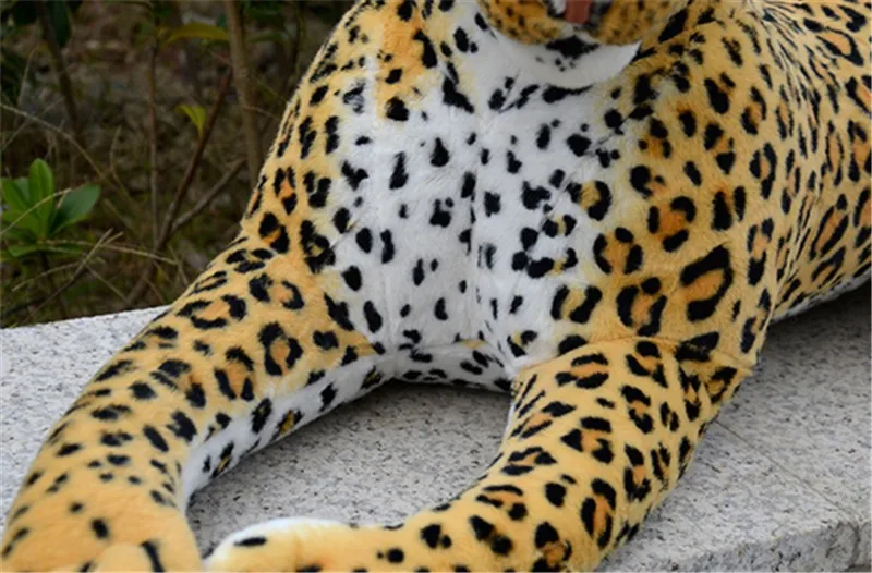leopard5