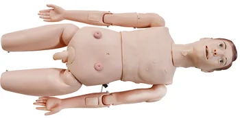 

Patient Care Teaching Model Human Medical Manikin Man Education Study Display