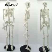 Medical standard anatomy 85cm human body skeleton model manikin Hi-Q medical esqueleto цена Medical standard anatomy 85cm human body skeleton model manikin Hi-Q medical esqueleto цены онлайн