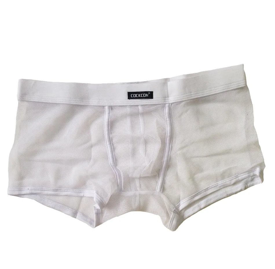 Hot! 2017 New Famous Brand Underwears Men's Boxers Shorts Sexy Mesh Men Panties Sexy Trunks shorts for Men Calecon Homme (5)