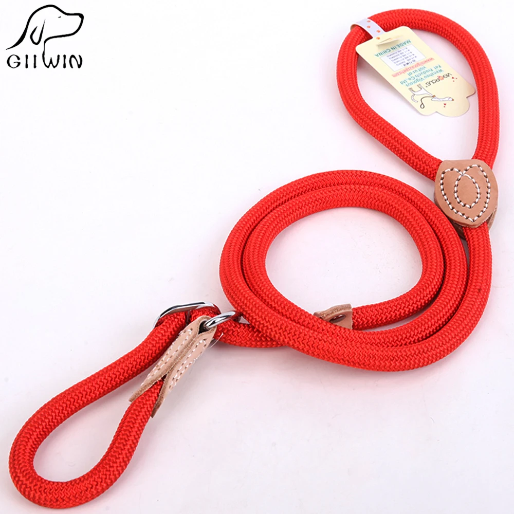 dog leash 1
