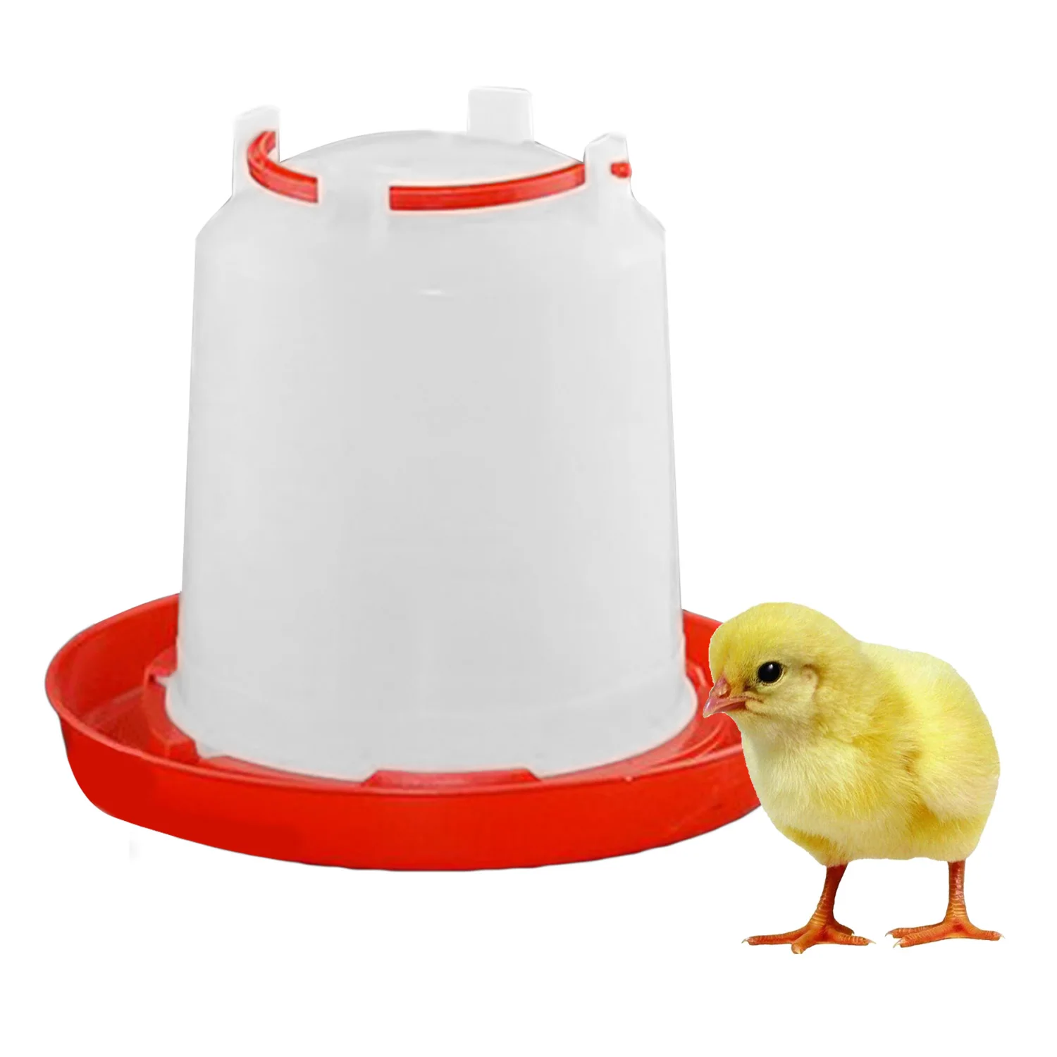 

Behokic 2.5L Poultry Chicken Hen Fowl Bird Quail Water Drinking Feeder Feed Plastic Trough Drinker Automatic Water Supplying