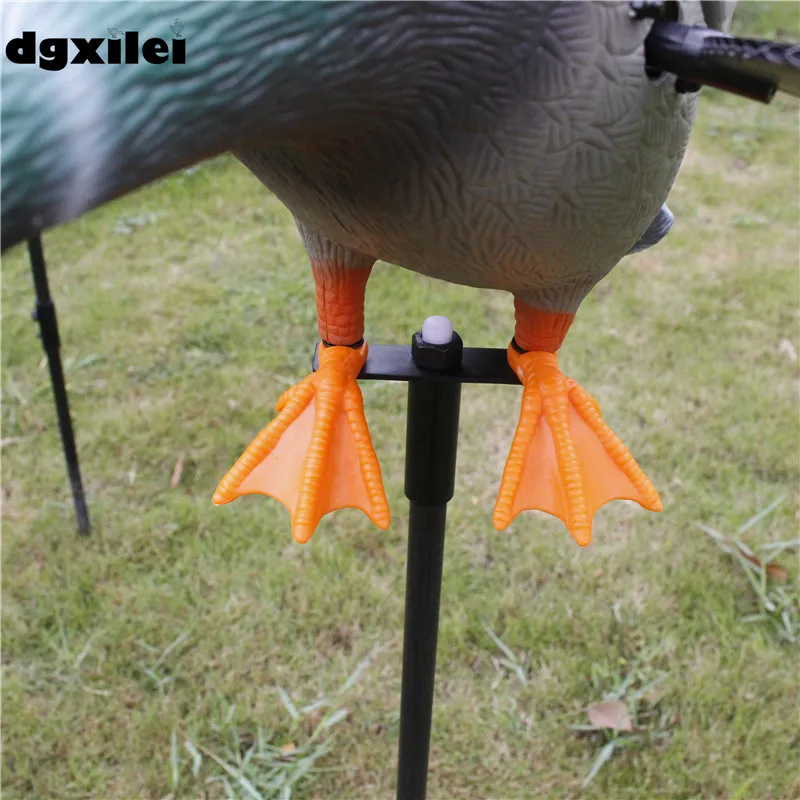 Hunting Duck (19)