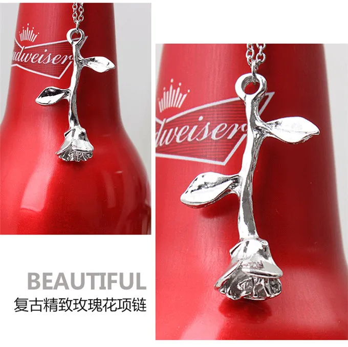 7672819907_204193426