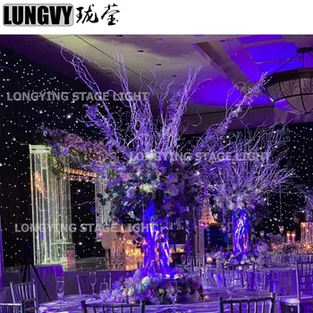 

Free Shipping 3m*6m BW/W Led Starlight Backdrop Wedding Decoration Led Star Curtains For Stage Backdrops