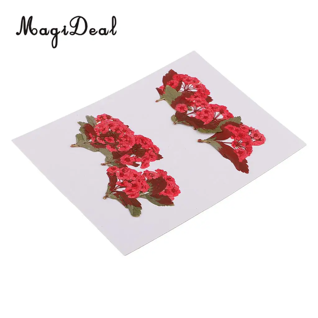 10pcs Red Flower Natural Real Pressed Dried Flower for Jewelry Making Handmade DIY Resin Ornament Crafts
