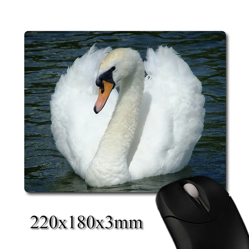 

Beautiful swan on the lake close-up printed Heavy weaving anti-slip rubber pad office mouse pad Coaster Party favor 220x180x3mm