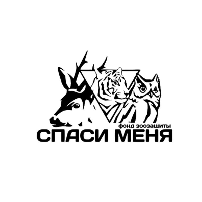 Фонд помощи бездомным животным. Благотворительный фонд животных. Международный фонд защиты животных. Фонды с животными. Фонды спасения животных.