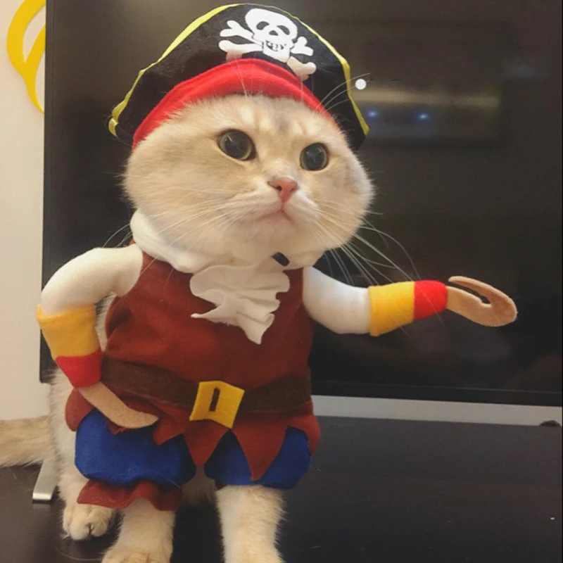 Смешные костюмы с котами пиратский костюм Одежда для кошек котенок Корсар на