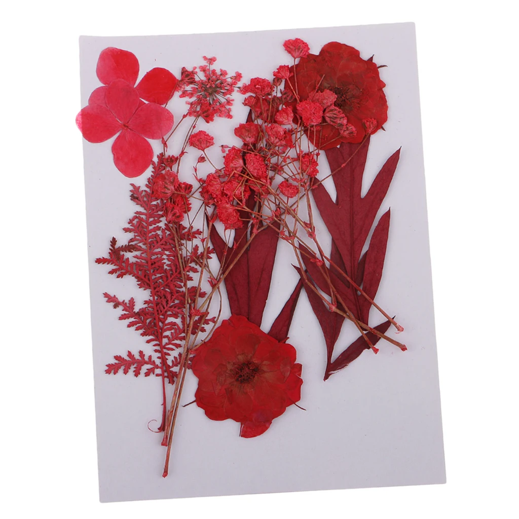 Смешанный красный прессованный высушенный гербарий Цветы DIY искусство ремесла Скрапбукинг Декор