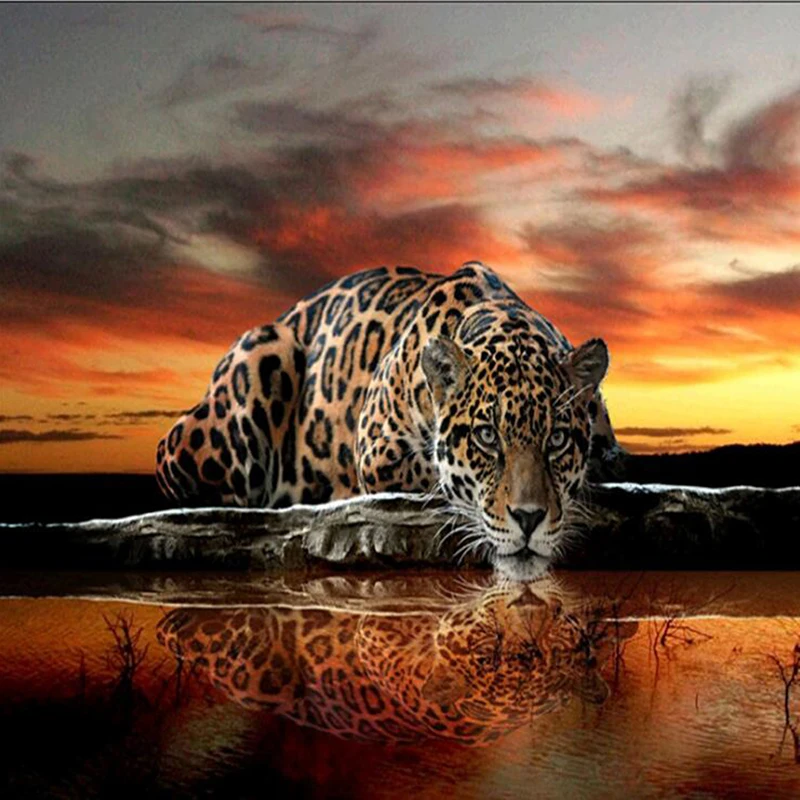 

Full 5D Diy Daimond Painting Cross-stitch Cheetah 3D Diamond Mosaic Round Rhinestones Painting Embroidery Leopards Decor