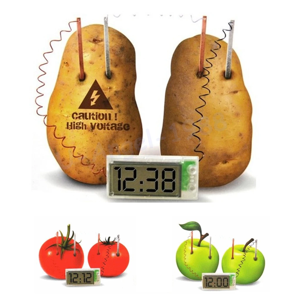 free shipping Potato Clock Novel Green Science Project Experiment Kit kids Lab Home School font b