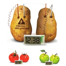 free shipping Potato Clock Novel Green Science Project Experiment Kit kids Lab Home School font b
