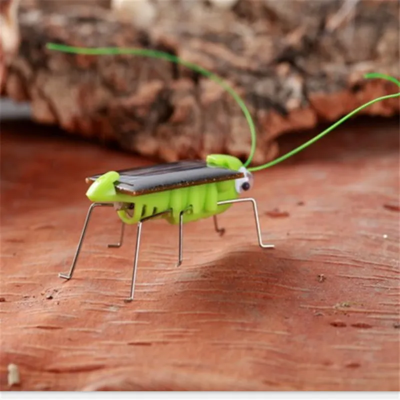 funny toy (12)