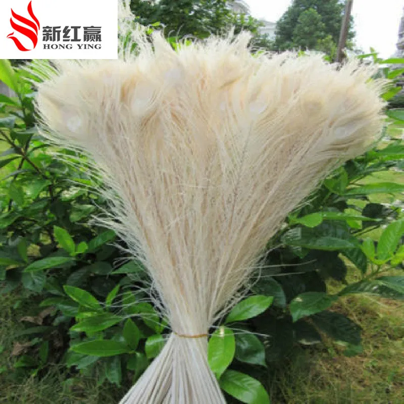 Перья павлина от 55 до 60 см/22 24 дюйма 20 шт.|peacock feathers|peacock feathers wholesalewhite |