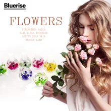 2015 Hot Selling 1PC Dry Flower Nourishment Oil Nail Cuticle Oil Processing Tools Nutritional nail Oil UV Gel Nail Treatment B37