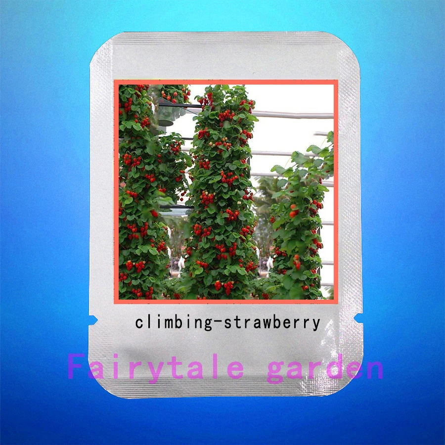 

climbing strawberry plants,300pcs strawberry Organic fruit vegetable ,professional pack plant for home garden
