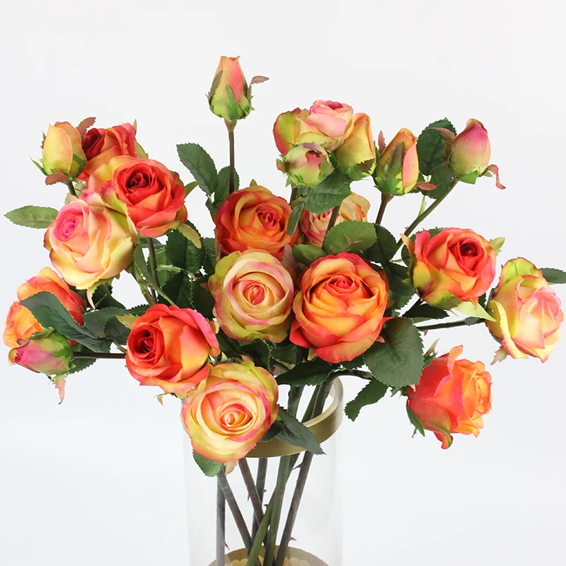 3-4orange 3pinkedge