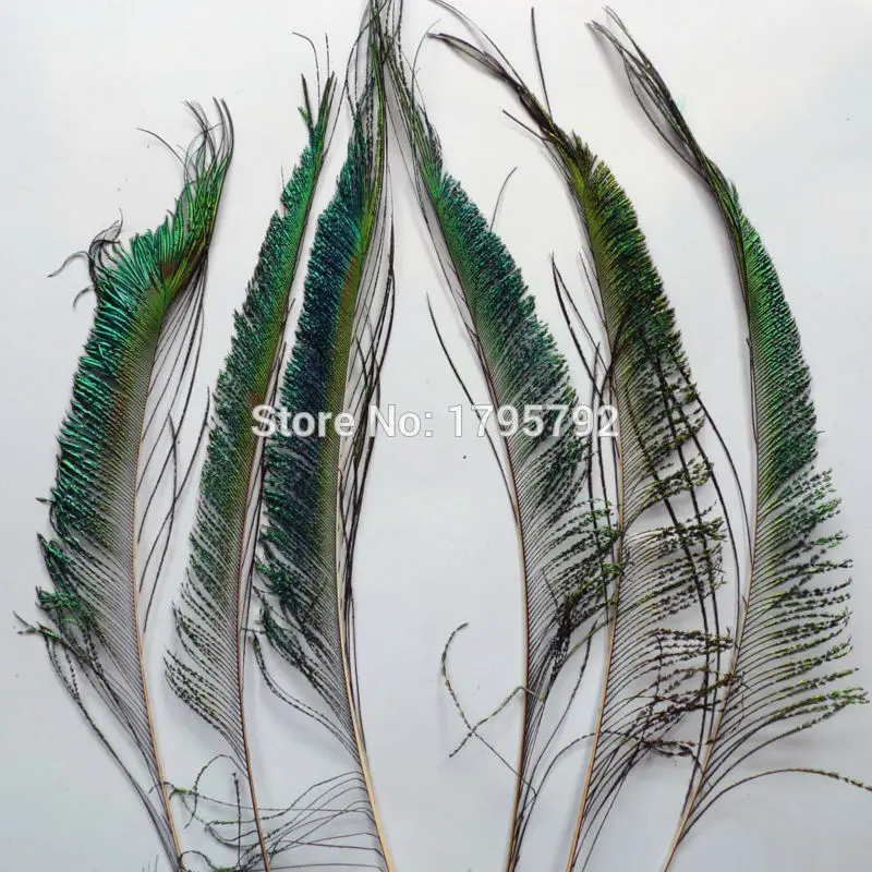 100pcs Peacock Sword Feathers Symmetrical 25-30cm Natural Green Iridescent Plumas for Left &amp Right Crafts decorations Plumes | Дом и сад