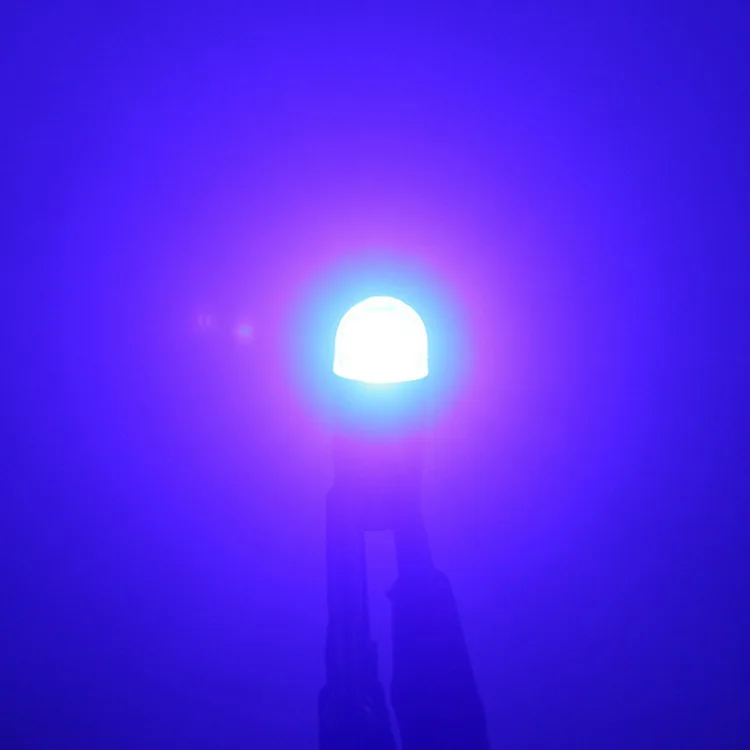 4400813308_1082100015