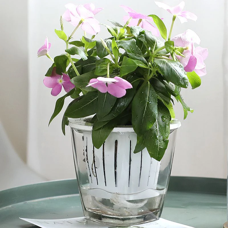 Двухслойные прозрачные стеклянные цветочные горшки кашпо для цветов самополив цветочный горшок для выращивания растений домашний сад бонсай горшок