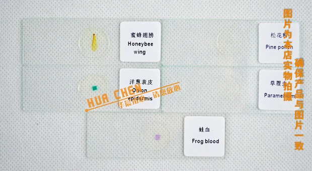 QQ20150227184422.jpg
