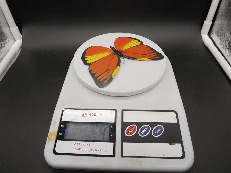 I229-Butterfly (14)