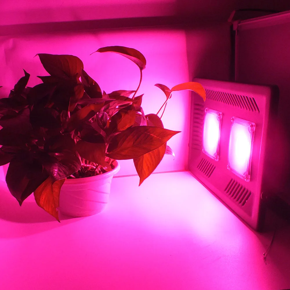 Светодиодный Grow светильник полный спектр 100/200 ваттов Светодиодные лампы COB Водонепроницаемый IP67 для комнатное растение цветок комнатное растение парника выращивания фито-лампа