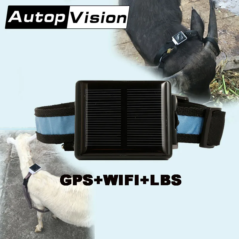 V26 5PCS/lot Animal GPS Tracker Solar For Cow Sheep Pet No lost Real Time Location LBS Tracking