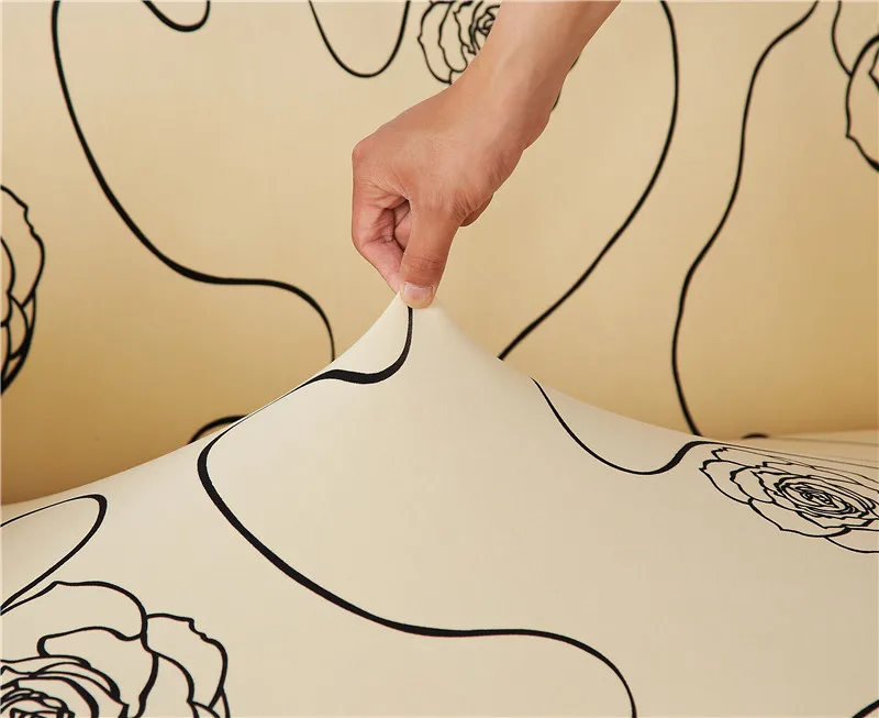 Dasion-18012217177-345A1406