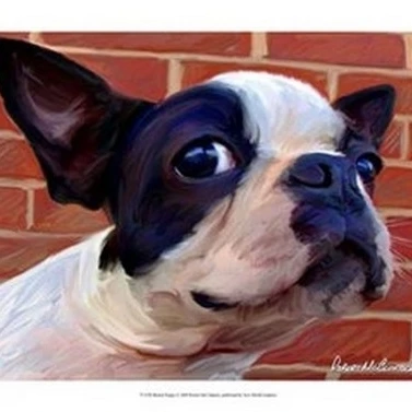 Boston Puppy Poster Print by Robert McClintock (19 x 13)