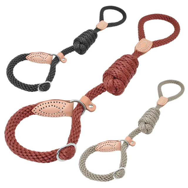 Dog Slip Leash Nylon 5ft Dog Rope Leash Dogs Choke Leads Slip Collar