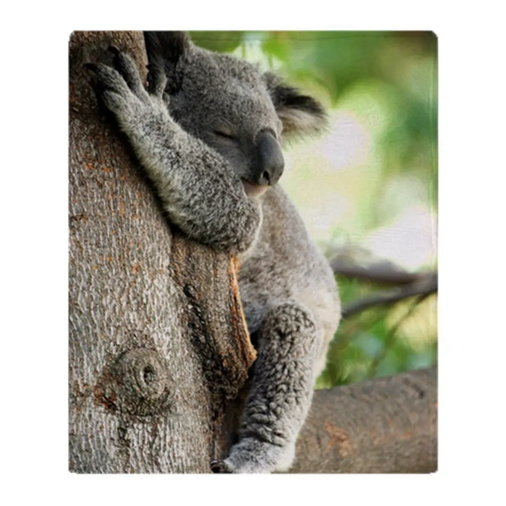 Koala Bear Sleeping In A Tree Soft Fleece Throw Blanket Solid 350G
