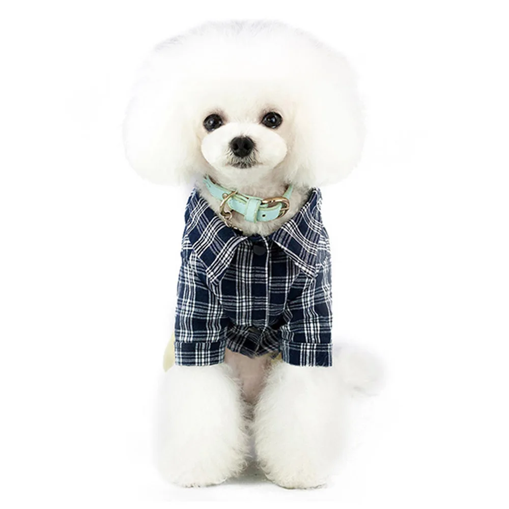 dog suits