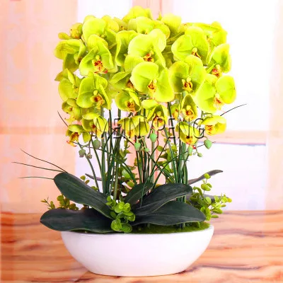 Акция потери! 20 шт смешанные цвета фаленопсис завод Бонсай Балкон цветок Орхидея сад разнообразие в комплекте,# DVRTJS - Цвет: 13