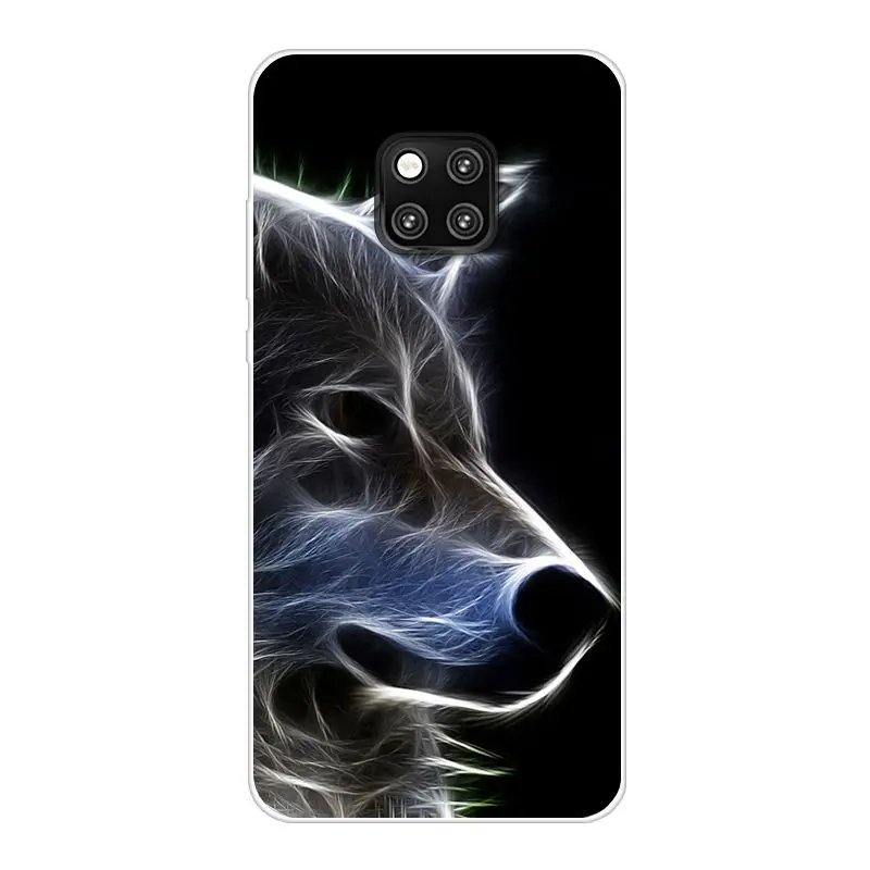 Huawei Mate 20 Pro (5)