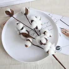 21 polegada Naturalmente Secas Enchimento de Algodão Hastes Estilo Fazenda Flor Artificial Decoração Floral Branco Algodão Hastes Da Flor Do Casamento
