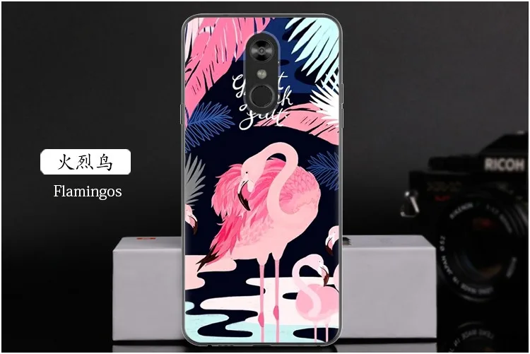  Flamingos
