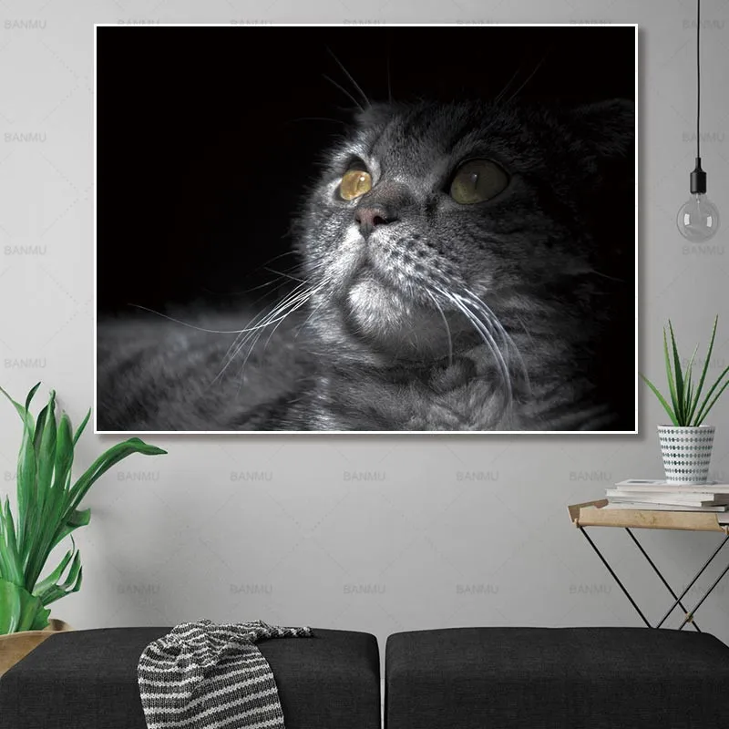 Canvas painting Picture wall art poster home Decor wall painting cat wall pictures for living