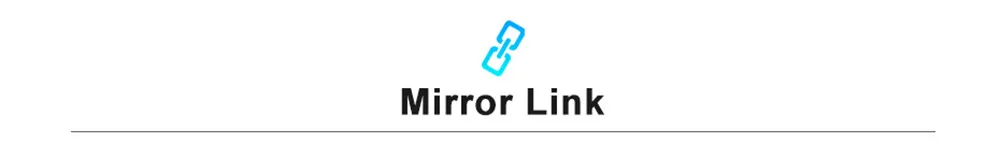 311 0510 Mirror Link