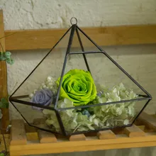 15.7cm Hanging Vertebral Glass Geometric Terrarium Planter Succulent Fern Moss flowerPot Bonsai Micro Garden Landscape Container