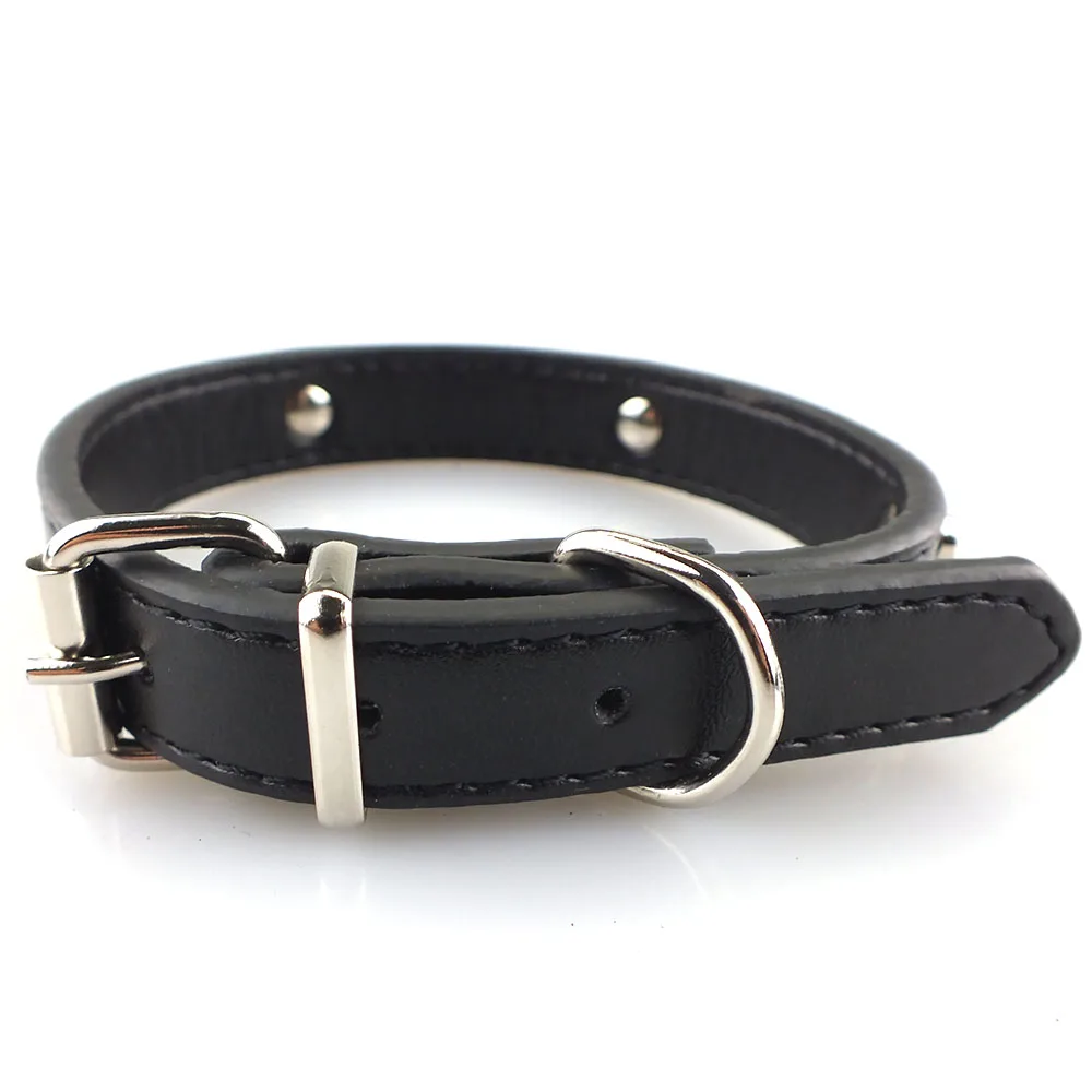 dog collar black 5043-13