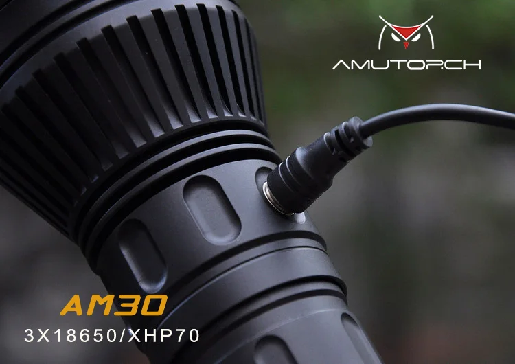 AM309