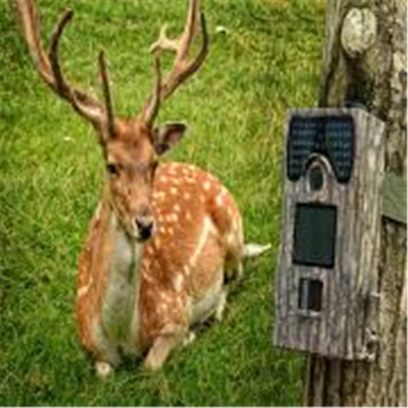 

1PC New SV-TCM12C 12MP LCD Screen Waterproof Infrared Hunting Camera Low-Glow LED Night Vision Tracker Digital Camera
