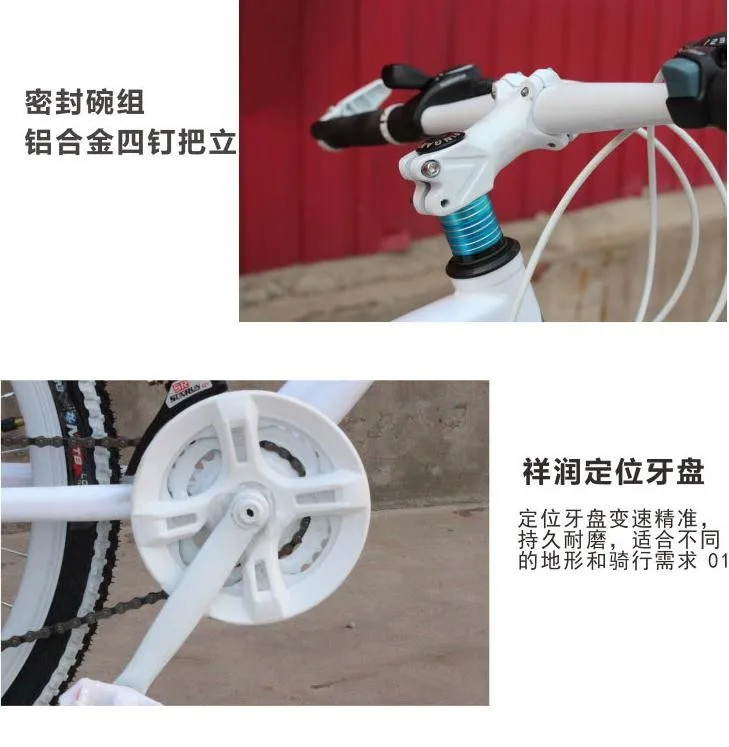 Cheap Hot selling    new cycling jersey bicicleta mountain bike  men and women  26 inch 21/24  speed    26er mountain bicycle 10