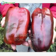 Garden Supplies Directory of Garden Pots & Planters