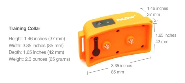 9th Beeper with Remote PET910