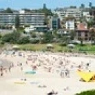 Houses on the coast  Bronte Beach  Sydney  New South Wales  Australia Poster Print (20 x 5)