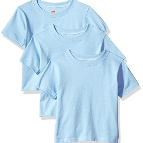 Hanes 617914473334 ComfortSoft Toddler Crewneck T-Shirt Light Blue - 2T (1)
